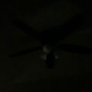 Meet your Posher, Devin